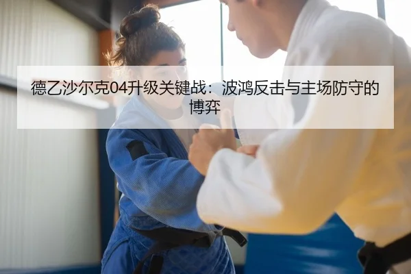 德乙沙尔克04升级关键战：波鸿反击与主场防守的博弈